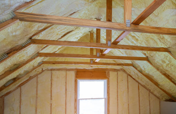 Best Residential Insulation in Bainbridge, OH