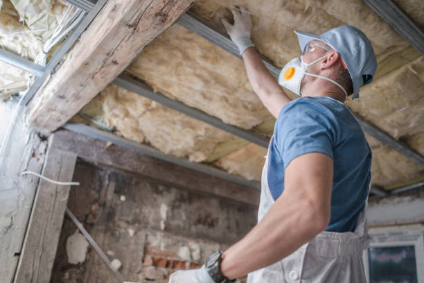 Best Specialized Insulation Services in Bainbridge, OH