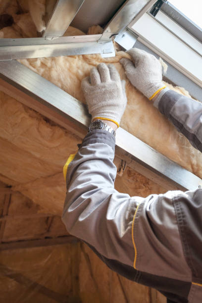 Best Commercial Insulation in Bainbridge, OH